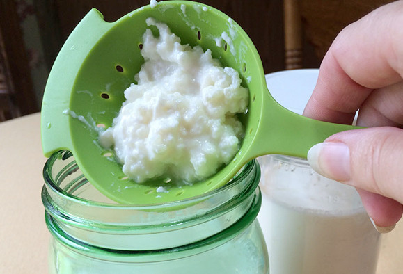 Kefir diyeti haftada 4 kilo verdiriyor! Evde kefir nasıl yapılır? - Resim: 2