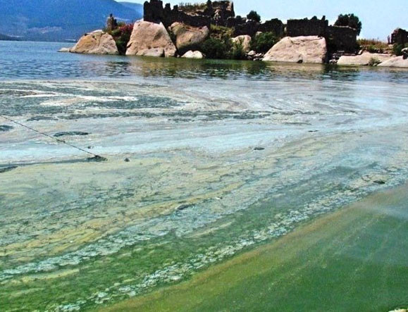 Bafa Gölü'ndeki bu manzara görenleri şok etti! - Resim: 2