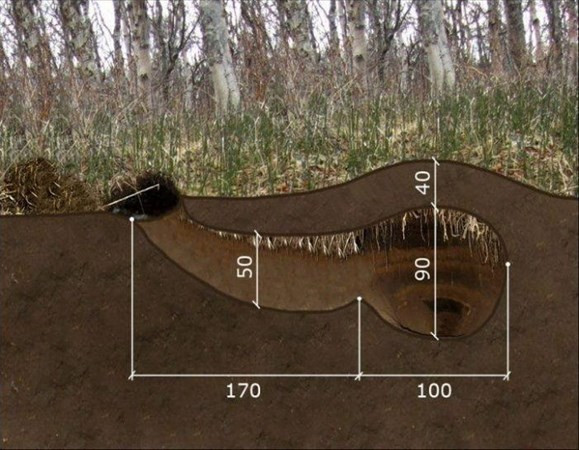 Başına ne geldiyse meraktan geldi deliğin içine girdi ve... - Resim: 3