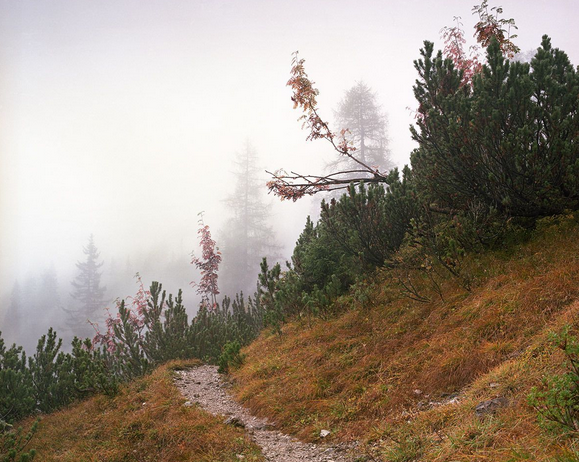 Ne kadar dikkatli bakarsanız bakın göremeyeceksiniz - Resim: 2
