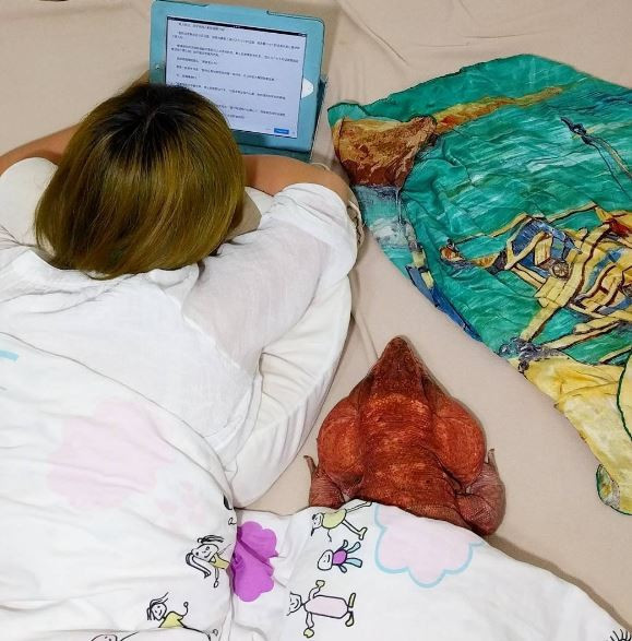 Instagram'da fenomen kertenkele rüzgarı gören inanamıyor - Resim: 2