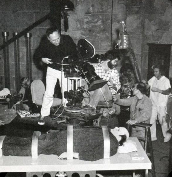 Köpek balığının ağzında ne arıyor? - Resim: 3