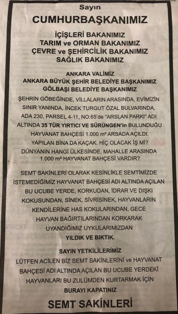 Maymun da kaçmıştı! Aslan kükremesinden uyuyamayan mahalleli ilan verdi Cumhurbaşkanı Erdoğan ve bakanlara seslendi! - Resim: 0