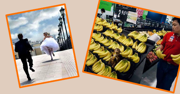 Günün tıklanma rekoru kıran komikleri! - Resim: 1