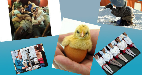 Bu kadarına da pes diyeceksiniz! - Resim: 1