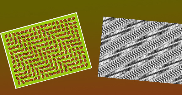 Gözler de yalan söyler - Resim: 1