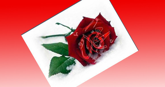 Peygamberimiz bu isimleri çok severdi - Resim: 1