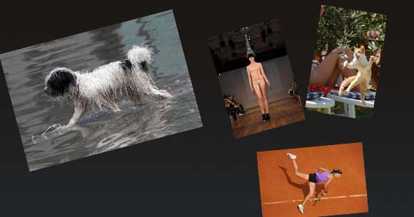 Kahkahalarla güleceğiniz kareler! - Resim: 1