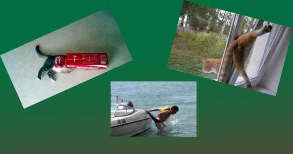 Biraz zor gibi görünse de... - Resim: 1