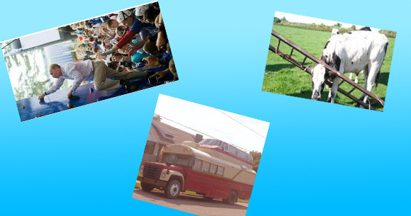 Sanal alemin en ilginç fotoğrafları - Resim: 1