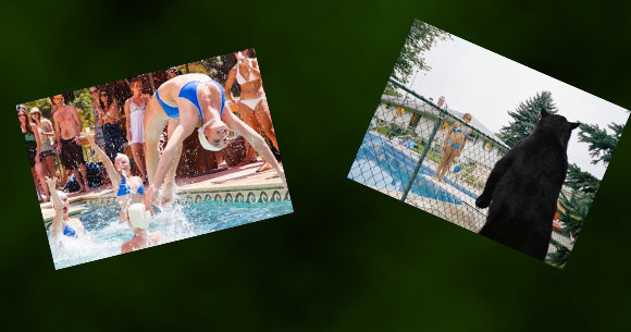 Günün tıklanmaya değer fotoğrafları! - Resim: 1