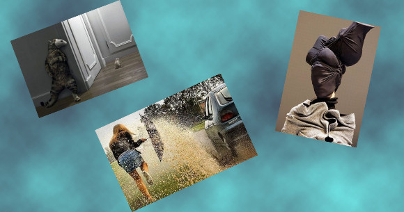 Sanal alemin en çok tıklanan kareleri - Resim: 1