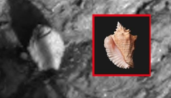 Sırrı çözülemedi! Dünya bu görüntüyü konuşuyor - Resim: 3