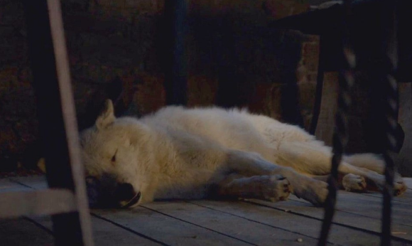 Game of Thrones'un kayıp karakteri yeni sezonda geri dönüyor!  - Resim: 4