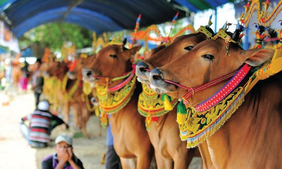 Bu kuralları bilmeden yurt dışına çıkmayın, yoksa... - Resim: 2