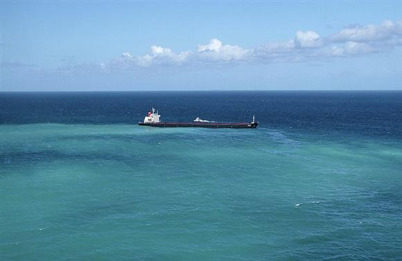 Büyük Mercan Resifi tehdit altında - Resim: 4