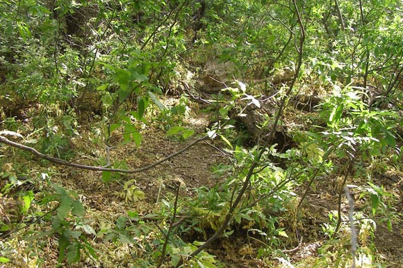 PKK'nın yaz kampı imha edildi! - Resim: 2