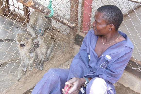 Hayvanlar tarfından büyütülen insanlar - Resim: 2