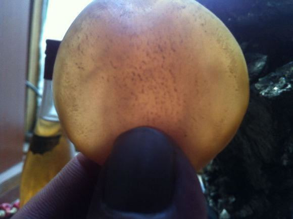 Bir balık yakaladı içinden öyle bir şey çıktı ki ağzınız açık kalacak - Resim: 2