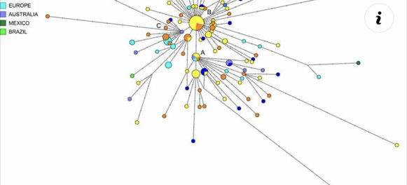 Prof. Dr. Mehmet Ceyhan'dan mutasyon açıklaması: Korkulacak bir şey yok - Resim: 0