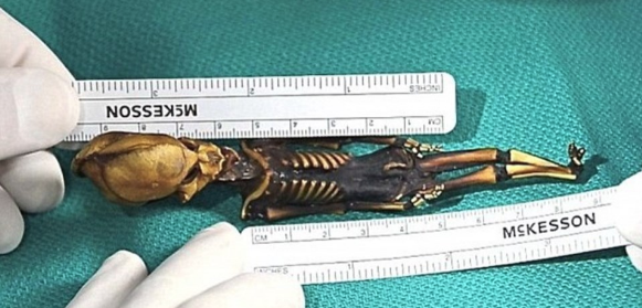 Uzaylı mumyası olduğu iddia edilmiş! Tüm sır çözüldü - Resim: 1