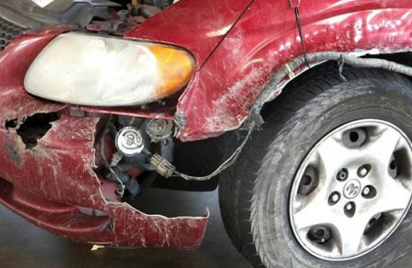 Bu arabayı pitbull parçaladı - Resim: 3