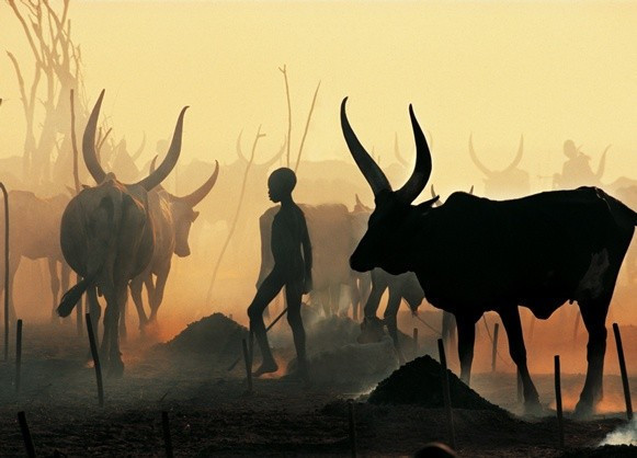 İnek idrarıyla yıkanıyorlar bu kabile ilk kez görüntülendi - Resim: 1