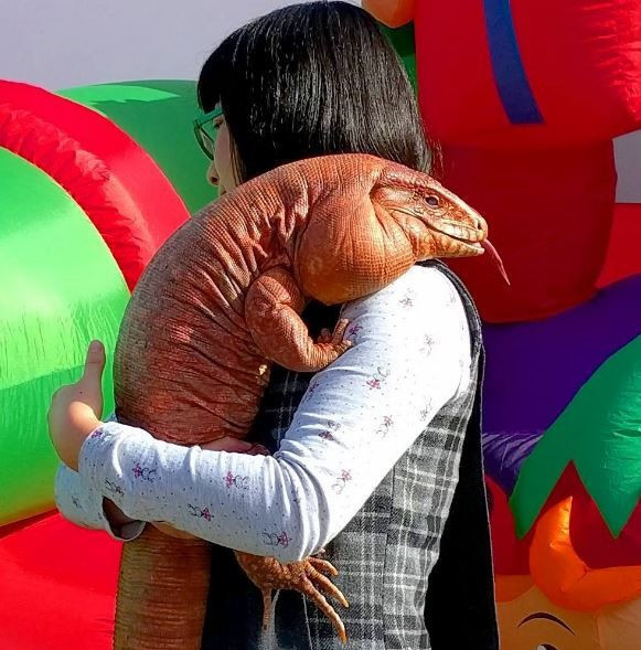 Instagram'da fenomen kertenkele rüzgarı gören inanamıyor - Resim: 4