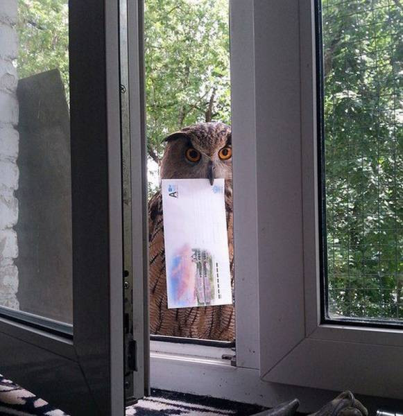 Cuma gününün 55 muhteşem fotoğrafı - Resim: 3