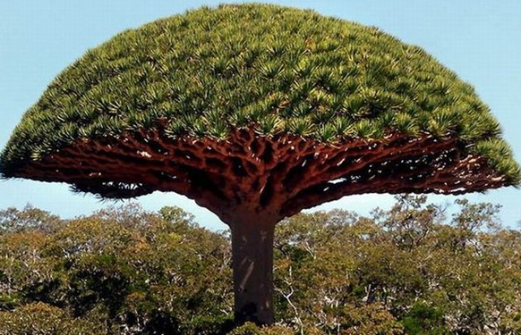 Dünyanın en gizemli adası! - Resim: 4