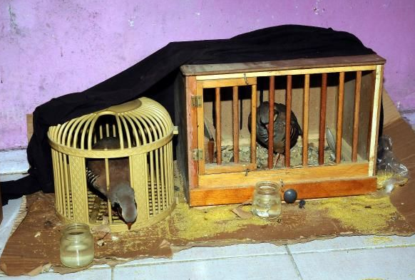 Bayrak satıcısı böyle bir evde oturuyor - Resim: 2