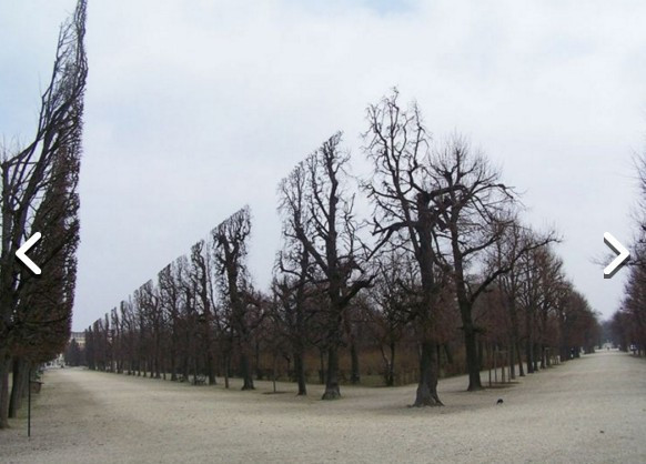 Burada photoshop yok! - Resim: 1