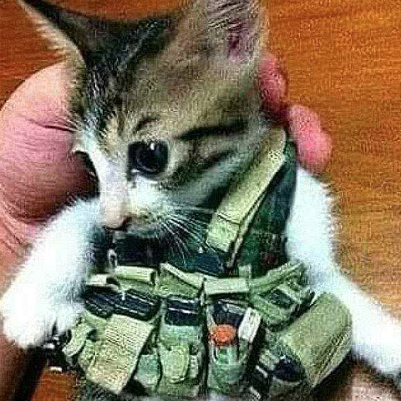 Teröristle internette tanıştı sonrası korkunç! Az daha hayatı kayıyordu - Resim: 4