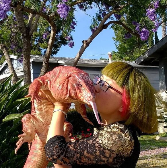 Instagram'da fenomen kertenkele rüzgarı gören inanamıyor - Resim: 3