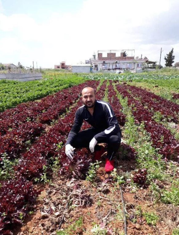 KKTC'de çiftçiden korona nedeniyle zorda olan halka bedava sebze jesti - Resim: 0