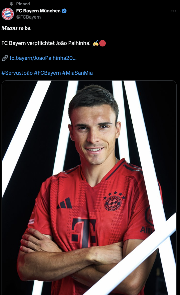 Bayern Münih, Portekizli futbolcu Palhinha'yı transfer etti - Resim: 0
