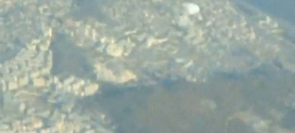 Dünya bu görüntüleri tartışıyor - Resim: 4