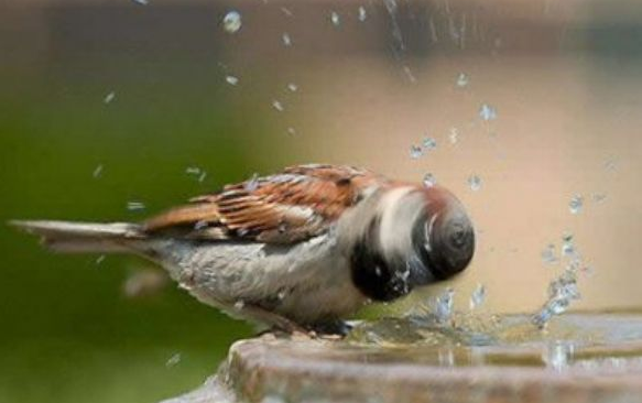 Biraz da gülmeye ne dersiniz? - Resim: 3