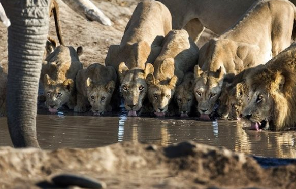 Tam o anda çekilen fotoğraflar - Resim: 2
