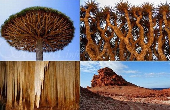 Dünyanın en gizemli adası! - Resim: 2