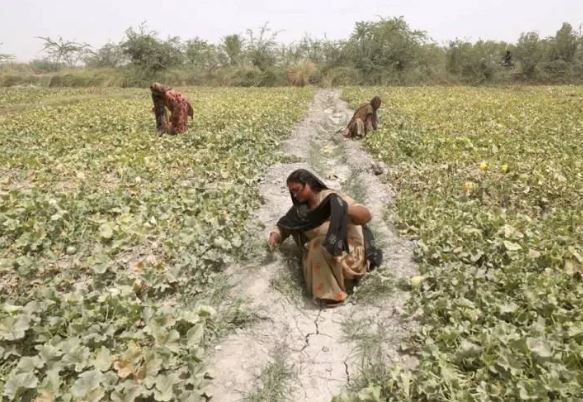 Dünyanın en sıcak şehri Jacobabad: Termometreler 51 dereceyi gösterdi - Resim: 4