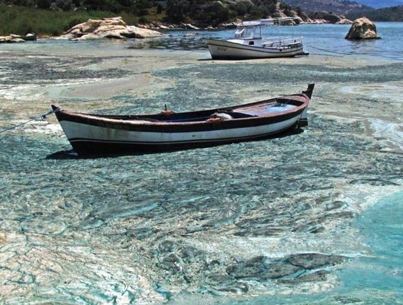 Bafa Gölü'ndeki bu manzara görenleri şok etti! - Resim: 4