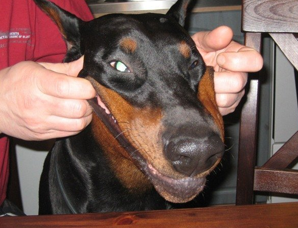 Yok artık daha neler - Resim: 4