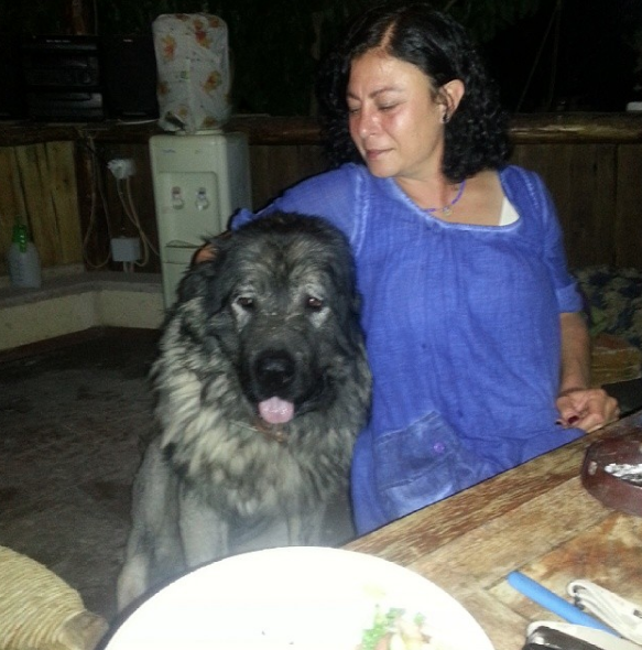 İstanbullu Gelin bitti ünlü oyuncu TRT'nin Vuslat dizisine dahil oldu - Resim: 2