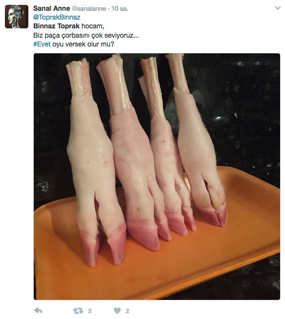 CHP'li Binnaz Toprak'ın 'hayır' tweeti sosyal medyayı salladı - Resim: 3