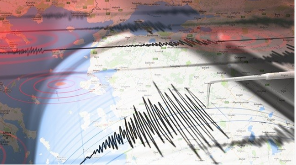 İstanbul'da korkutan deprem artçılar devam ediyor! Hayvanlar depremi önceden hissedebilir mi? - Resim: 3
