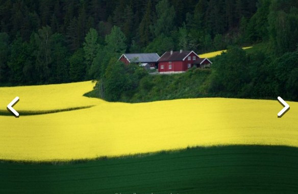 Burada photoshop yok! - Resim: 3