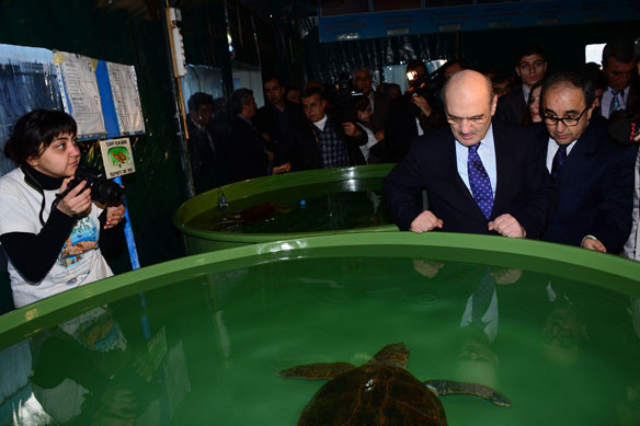 Erdoğan Bayraktar kaplumbağaları unutmadı - Resim: 3