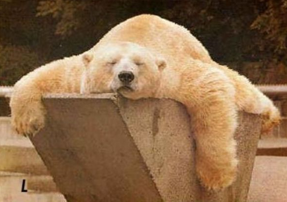 Günün en çok tıklanan bomba kareleri - Resim: 4