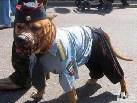 İşte günün en ilginç kareleri - Resim: 2